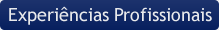 Experi�ncias profissionais